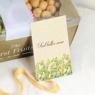 Get Well Soon Fruit Gift Box Set