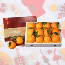 Load image into Gallery viewer, Korea Jeju Hallabong Mandarins Gift Box
