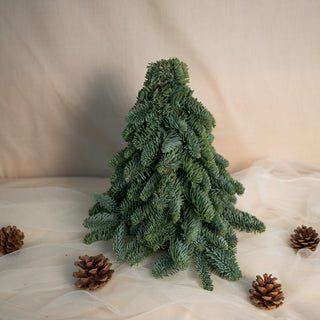 Petit Fir Christmas Tree (Pre-Order)