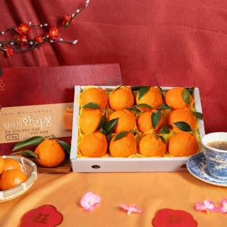 Korea Jeju Hallabong Mandarins Gift Box (3kg) (Pre-Order)