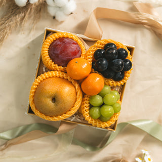 Premium Omakase Japanese Fruit Gift Box